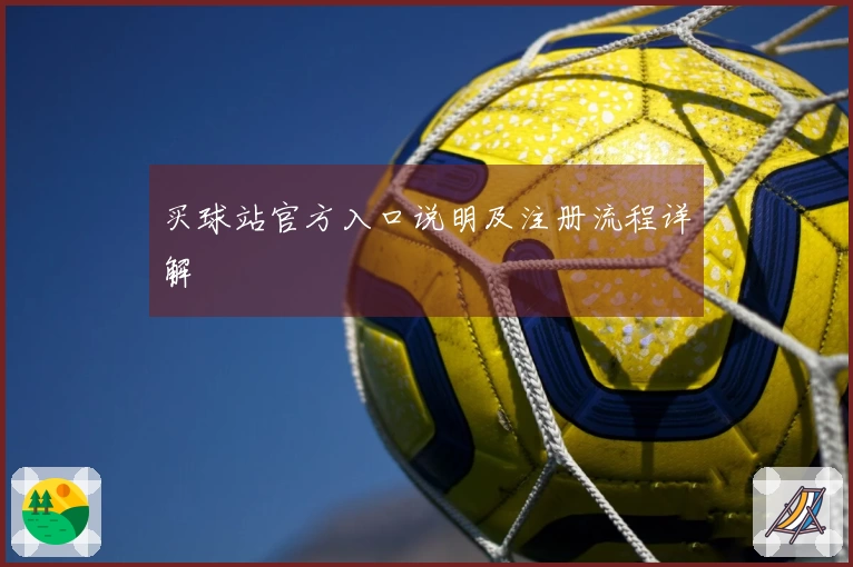 买球站官方入口说明及注册流程详解