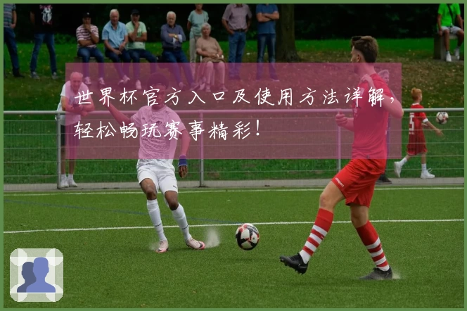 世界杯官方入口及使用方法详解，轻松畅玩赛事精彩！