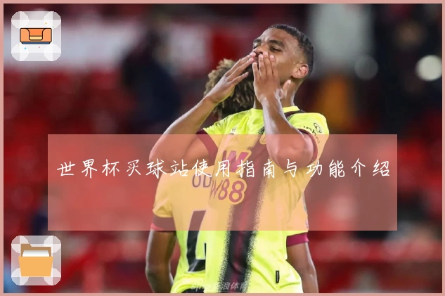 世界杯买球站使用指南与功能介绍