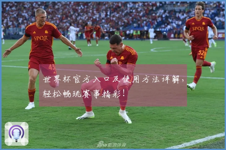 世界杯官方入口及使用方法详解，轻松畅玩赛事精彩！