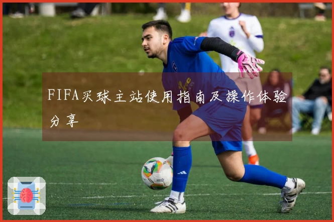 FIFA买球主站使用指南及操作体验分享