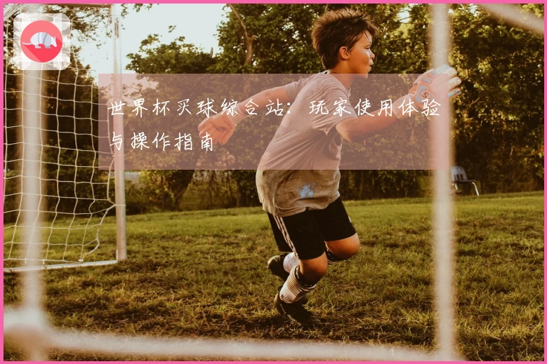 世界杯买球综合站：玩家使用体验与操作指南