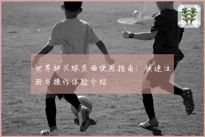 世界杯买球页面使用指南：快速注册与操作体验介绍