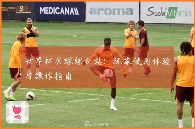 世界杯买球综合站：玩家使用体验与操作指南