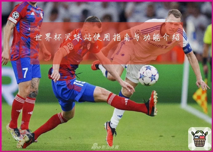 世界杯买球站使用指南与功能介绍
