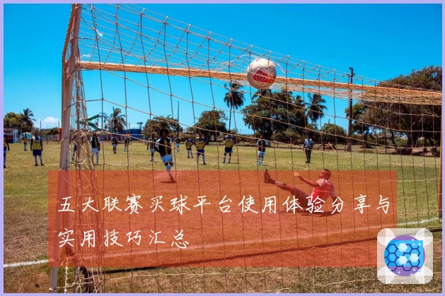 五大联赛买球平台使用体验分享与实用技巧汇总