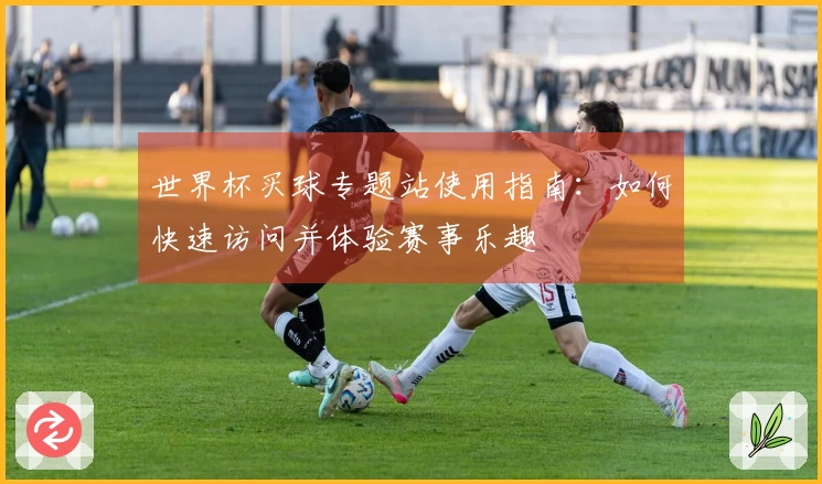 世界杯买球专题站使用指南：如何快速访问并体验赛事乐趣
